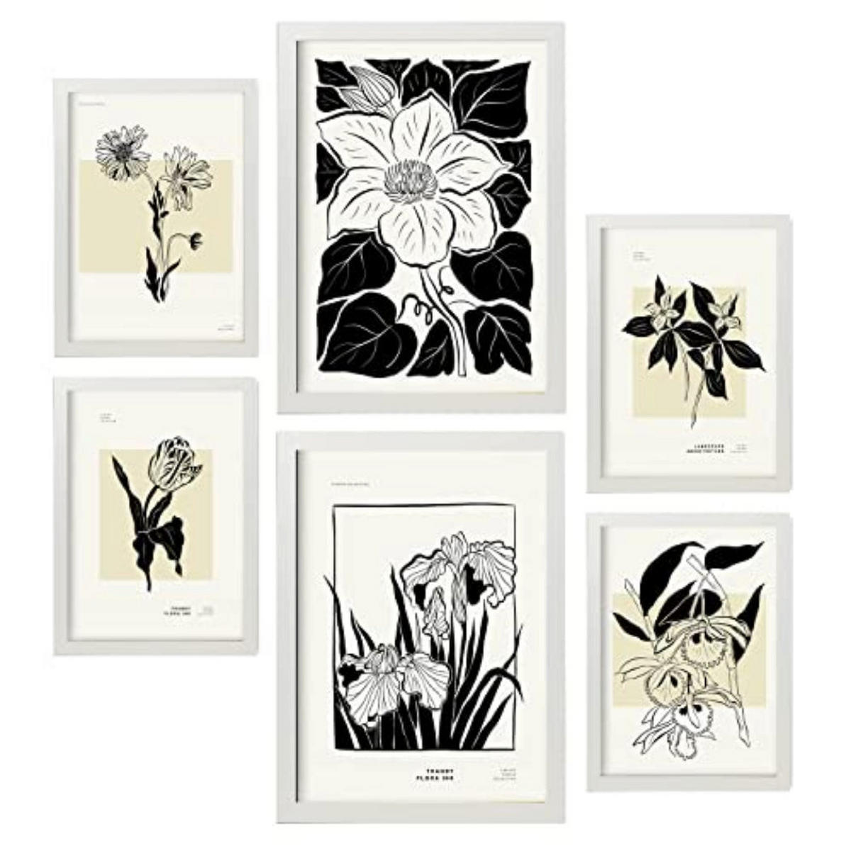 POSTER Set Mit 6 In Schwarzer Tinte Blumen Kunstdrucke Im Skizzenstil Für Innenarchitektur A3 & A4 Weißer Rahmen - Weiß, Papier (29/3cm) - Nacnic