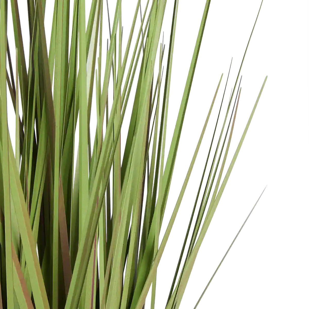 GRÄSER Künstliches Gras - Chiara 60 cm - Grün, Kunststoff (60cm) - aplanta