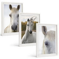 BILDER SET 3er Set - 40x60 cm Weißer Rahmen - Weiße Pferde in der Natur - Weiß, Kunststoff (40/60cm) - TULUP