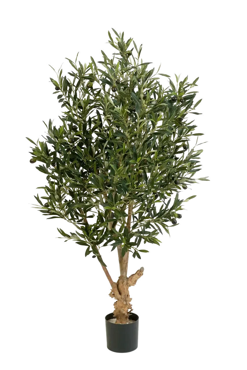 KUNSTBAUM Künstlicher Olivenbaum - Ian 120 cm - Grün, Kunststoff (120cm) - aplanta