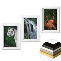 WANDBILDER 3er-Set - 20x30 cm Weißer Rahmen - Tiger Wasserfall Flamingos Natur - Weiß, Kunststoff (20/30cm) - ArtPrintCave