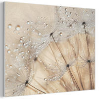 AKUSTIKBILD Löwenzahn - Abstrakt - Natur - Beige Wanddeko 70x50 cm - Braun, Kunststoff (70/50/0.9cm) - MuchoWow