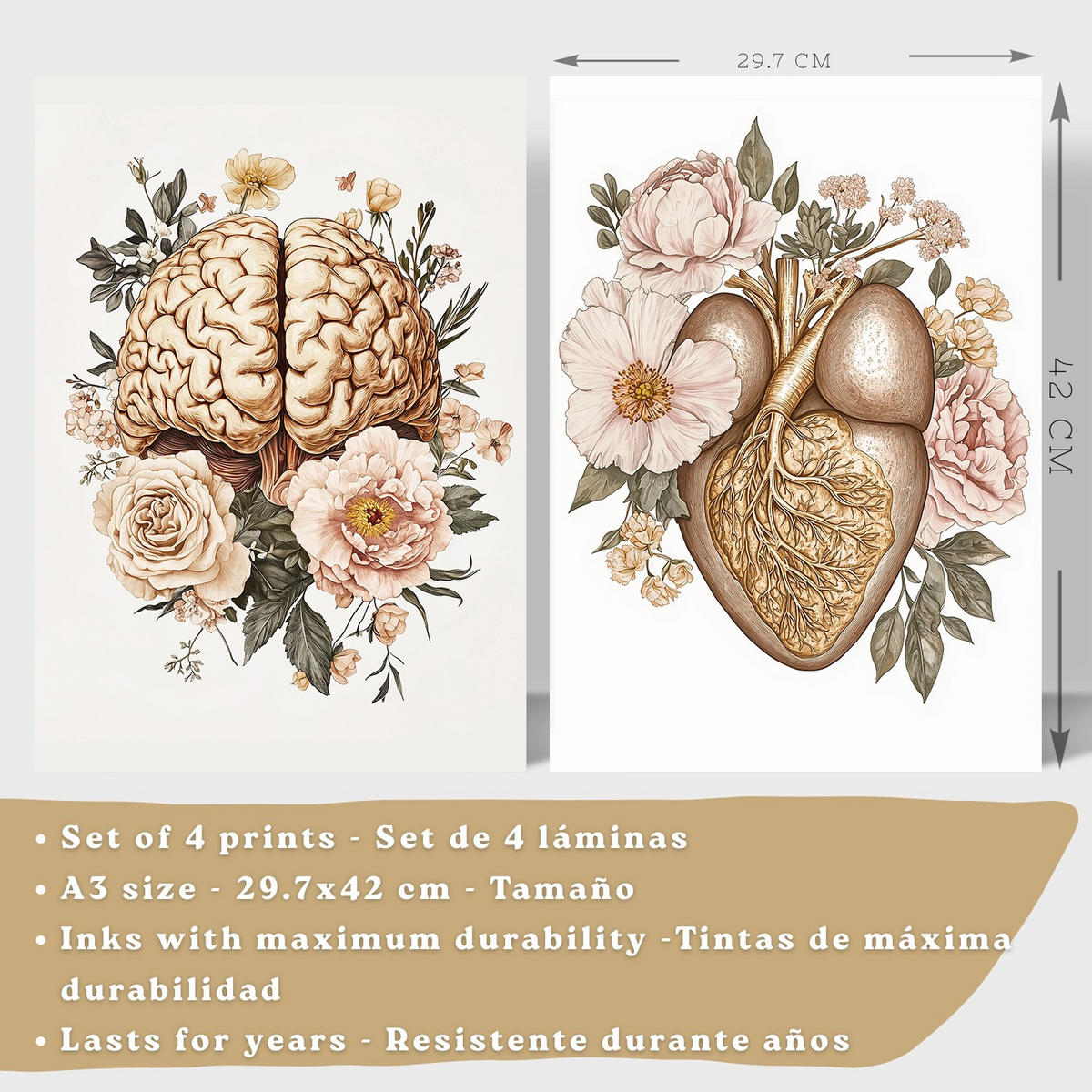 POSTER Set aus 4 Vintage Körper Anatomie Drucke mit Gehirn Herz Lungen Luftröhre Bronchien Nieren Verdauungssystem Magen Darm Größe Rahmenlos A3 - Klar, Papier (29.7/42/3cm) - Nacnic