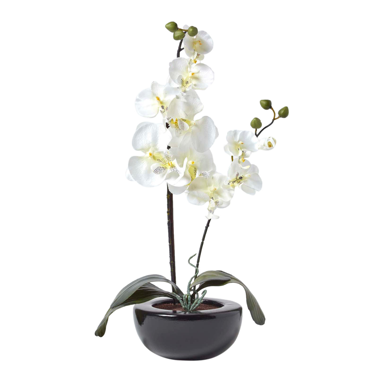 KUNSTBLUME Orchidee weiß in Schale, 54 cm - Creme, Kunststoff (54cm) - Homescapes