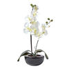 KUNSTBLUME Orchidee weiß in Schale, 54 cm - Creme, Kunststoff (54cm) - Homescapes