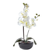 KUNSTBLUME Orchidee weiß in Schale, 54 cm - Creme, Kunststoff (54cm) - Homescapes