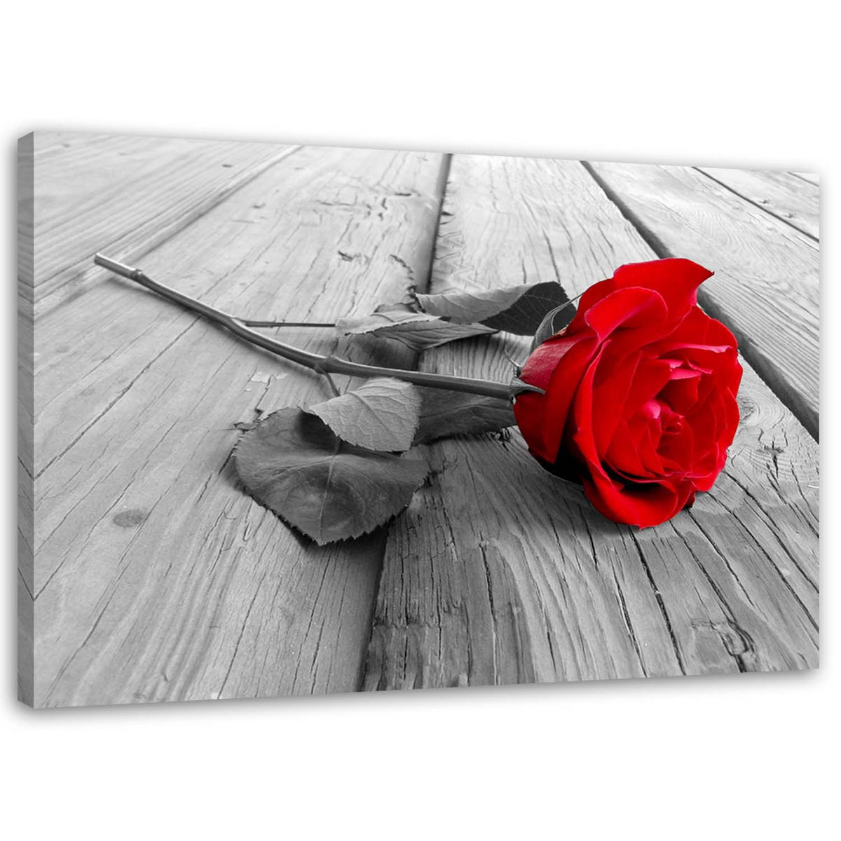 WANDBILD Rote Rose - Rot, Textil (60/40cm) - Feeby