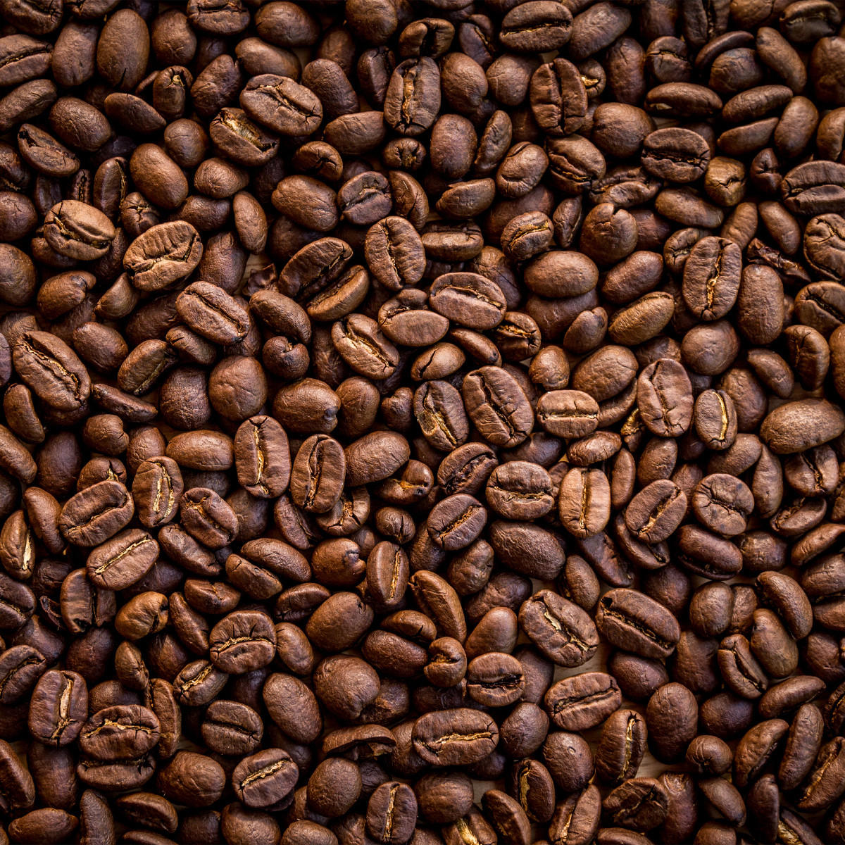 FOTOTAPETE röstfrische Kaffeebohnen 3D 300x210cm - Schwarz/Braun, Papier (300/210cm) - Muralo