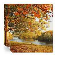 FOTOTAPETE 250x250 cm - Küstenherbst - Gelb, Textil (250/250cm) - Wallfluent