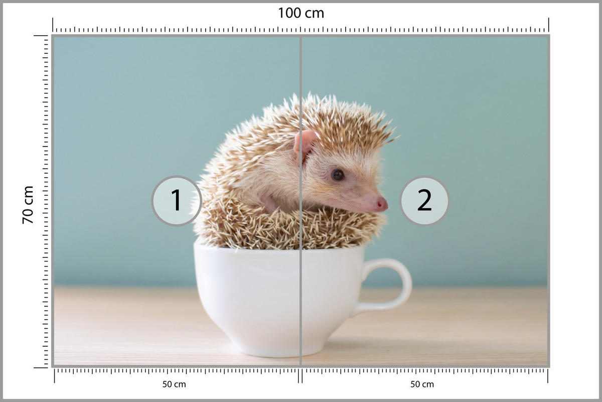 FOTOTAPETE für Esszimmer Igel Weiße Tasse Süß Tier 100x70 - Beige/Weiß, Papier (100/70cm) - Muralo