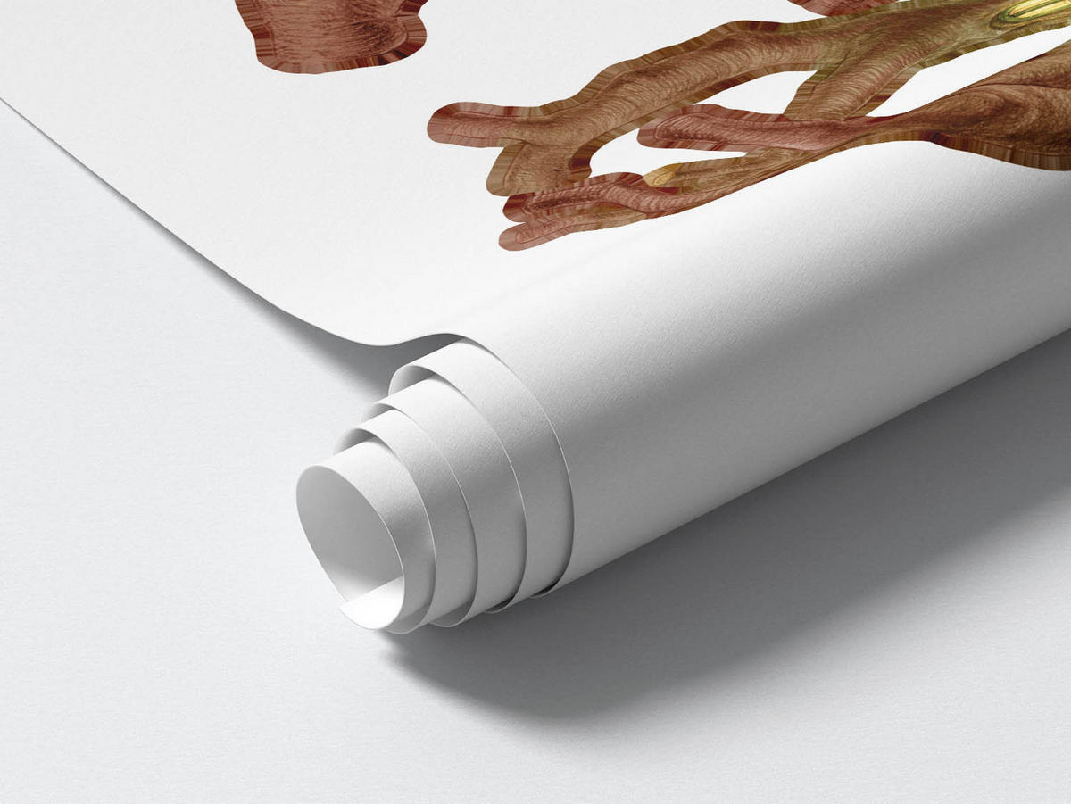 WANDAUFKLEBER 100x179cm - Waldhäuser - Multicolor, Kunststoff (100/179/0.1cm) - Wallfluent