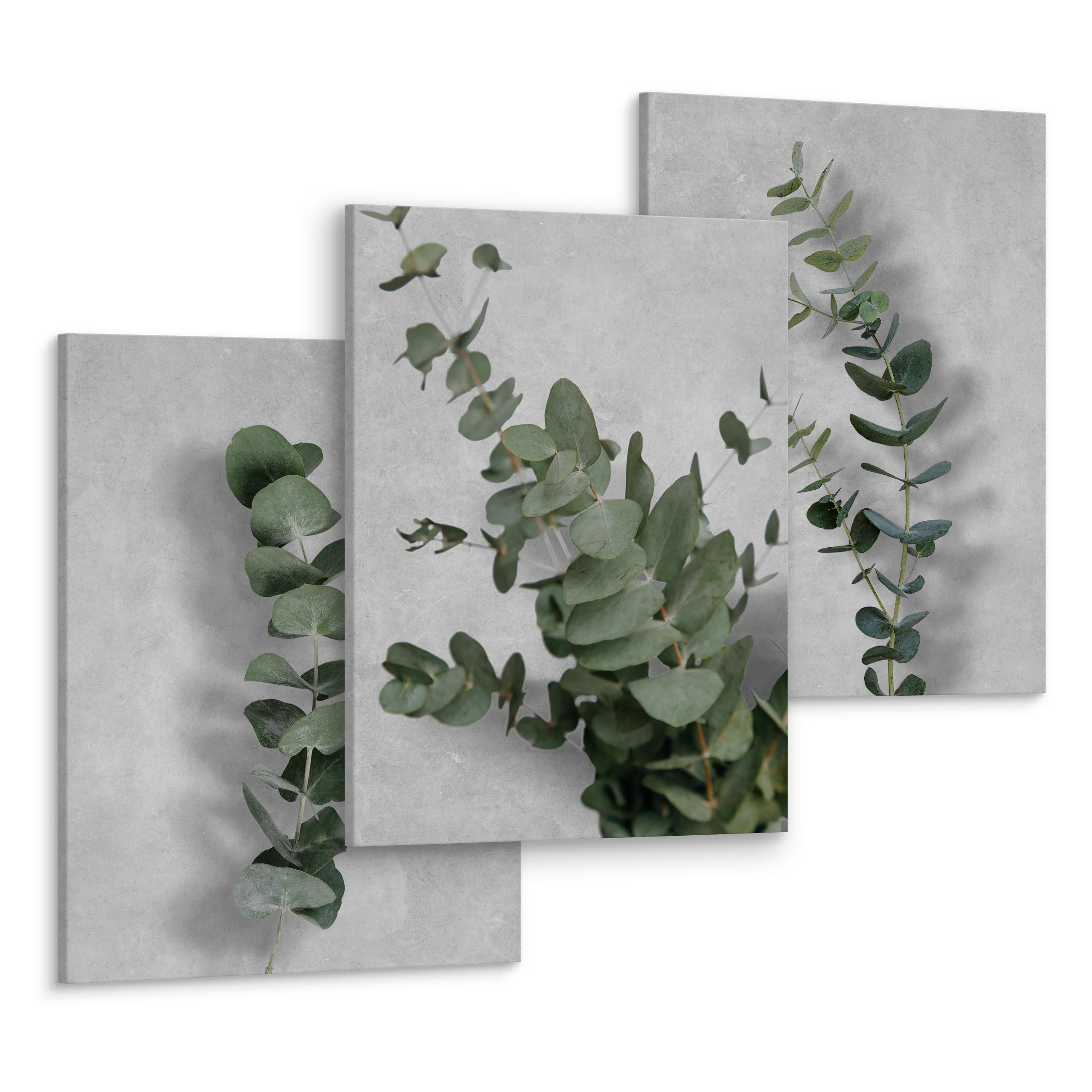 LEINWANDBILDER 3-er Set Beton Blätter 3D - Schwarz/Grau, Textil (90/40cm) - Muralo