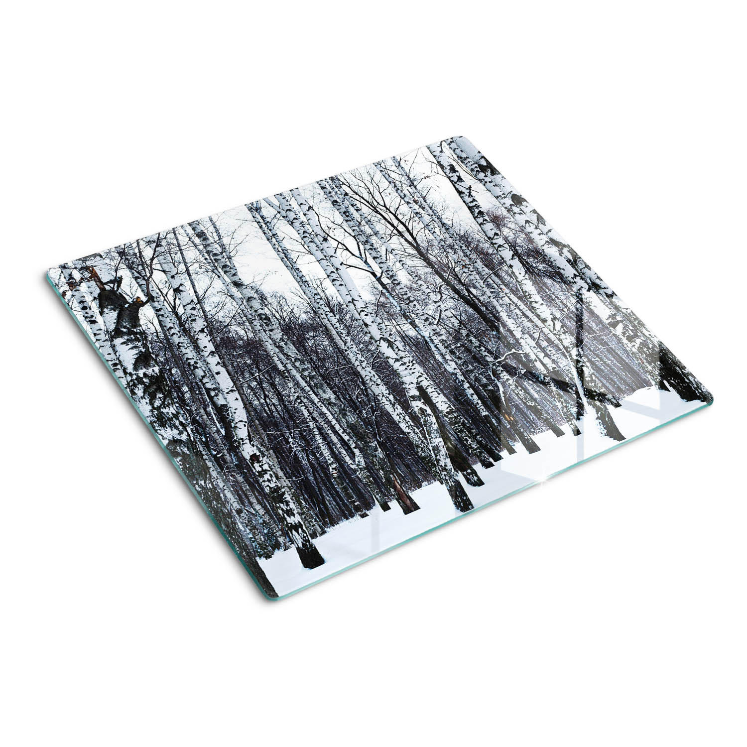 GLASPLATTE 60x52 cm Winterbirken - Weiß, Glas (60/0.4/52cm) - TULUP