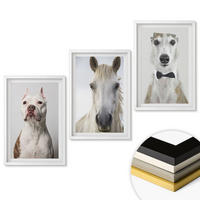 WANDBILDER 3er-Set - 40x60 cm Weißer Rahmen - Elegante Porträts von Hunden und Pferden - Weiß, Kunststoff (40/60cm) - ArtPrintCave