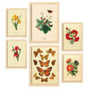 POSTER Set Mit 6 Schmetterlinge In Vintage A3 & A4 Rahmen Aus Hellem Holz - Beige, Papier (29/3cm) - Nacnic