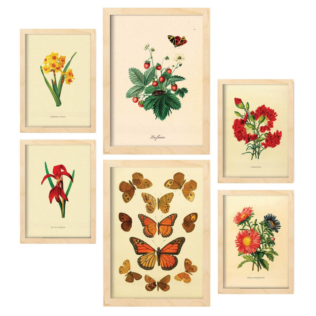 POSTER Set Mit 6 Schmetterlinge In Vintage A3 & A4 Rahmen Aus Hellem Holz - Beige, Papier (29/3cm) - Nacnic