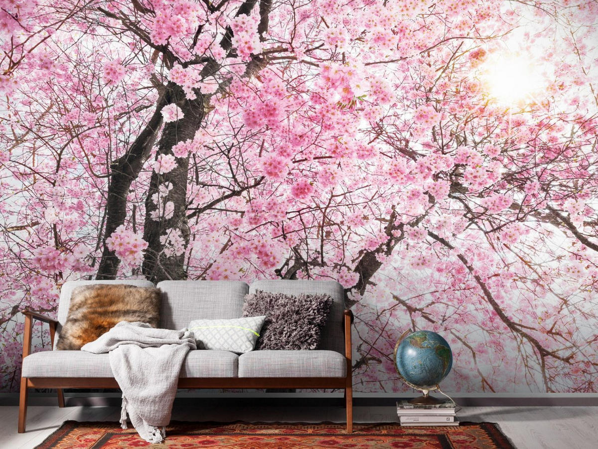 FOTOTAPETE Kirschblüten 400 x 250 cm - Pink, Papier (400/250cm) - Sanders & Sanders