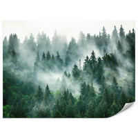 FOTOTAPETA Pre Kuchyňu Ihličnaté Stromy Hmlový Les Mystický Zelená 100 x 70 cm - sivá/zelená, papier (100/70cm) - Muralo