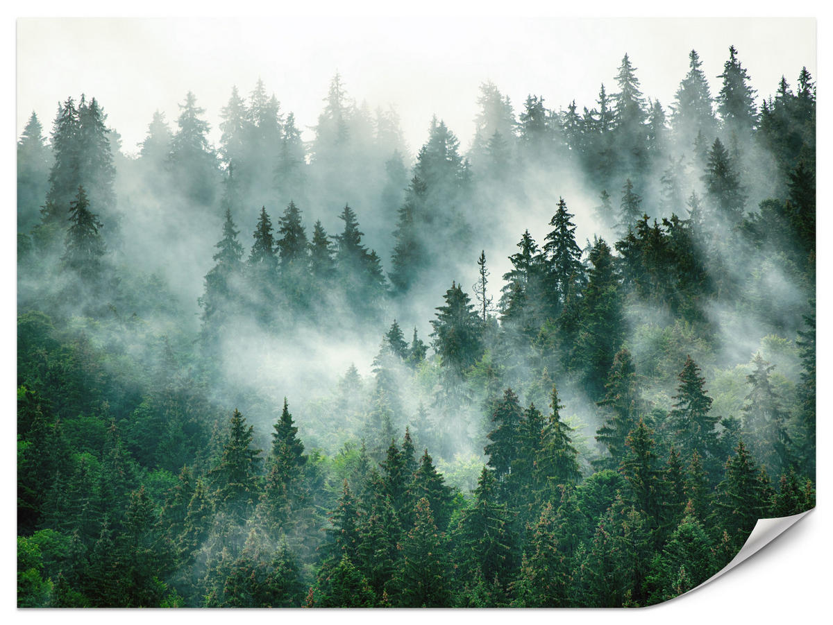 FOTOTAPETA Pre Kuchyňu Ihličnaté Stromy Hmlový Les Mystický Zelená 100 x 70 cm - sivá/zelená, papier (100/70cm) - Muralo