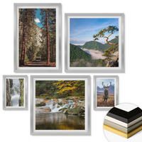 WANDBILDER 5er Set - 50x50 cm & 20x30 cm & 40x60 cm Silberner Rahmen - Wasserfall Wald Berge Hirsch Natur - Silberfarben, Kunststoff (40/60cm) - ArtPrintCave