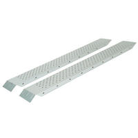 AUFFAHRRAMPE 2er Set Titan 160cm - Silberfarben, Metall (22.5/160/4.5cm) - PROREGAL
