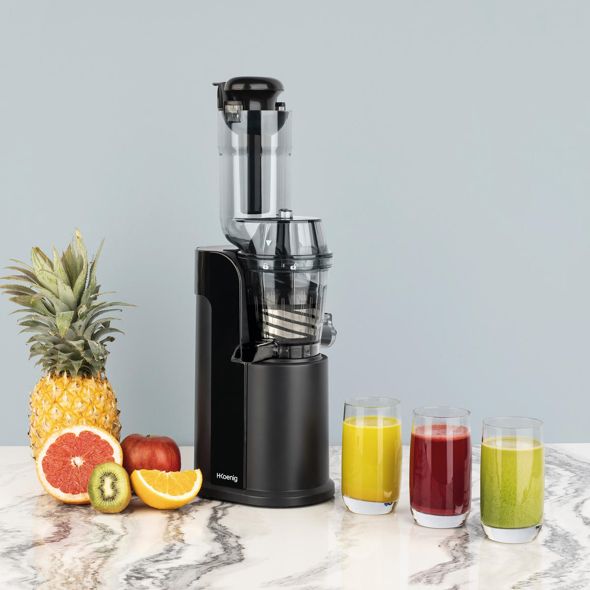 ENTSAFTER GSX16 Silber, Compact'One Entsafter Slow Juicer, Saft- und Tresterbehälter - Schwarz, Metall (18.5/49.8/20.4cm) - HKoenig