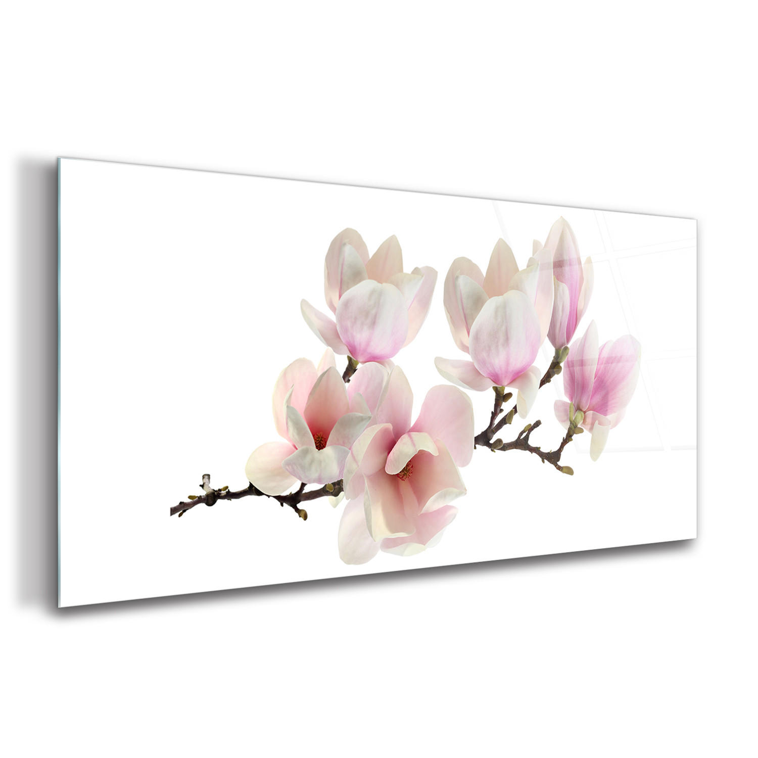GLASBILD 120x60 cm Magnolienblüte - Rosa, Glas (120/60cm) - TULUP