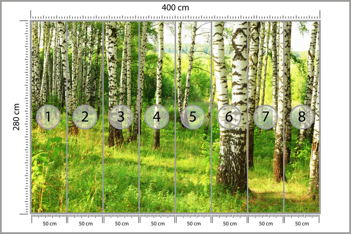FOTOTAPETE für Esszimmer Birkenwald Bäume Natur 3D 400x280 - Schwarz/Braun, Papier (400/280cm) - Muralo