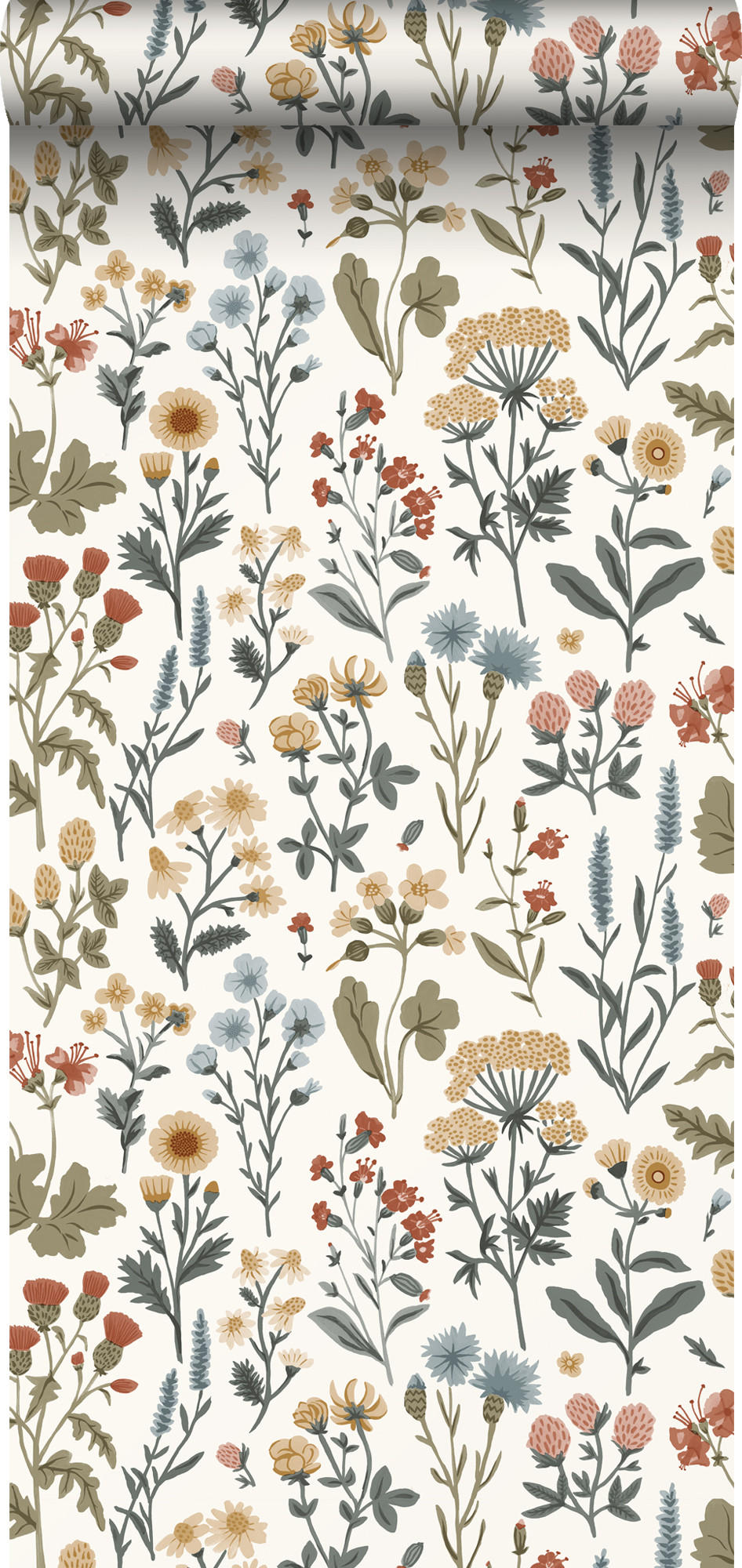 TAPETE Feldblumen 50 x 900 cm - Weiß, Papier (50/900cm) - Sanders & Sanders
