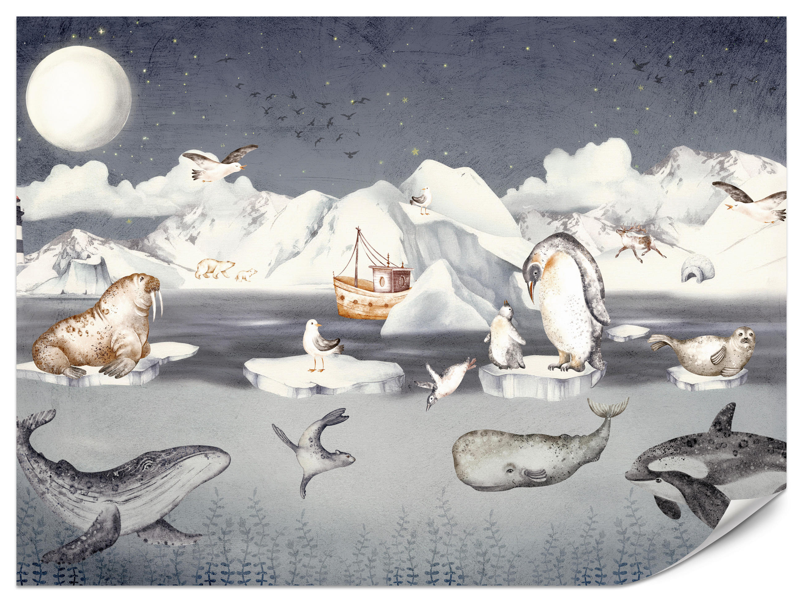 FOTOTAPETE für Kinderzimmer Arktische Tiere Pinguine Robben Mond Gebirge 400x280 - Orange/Weiß, Papier (400/280cm) - Muralo