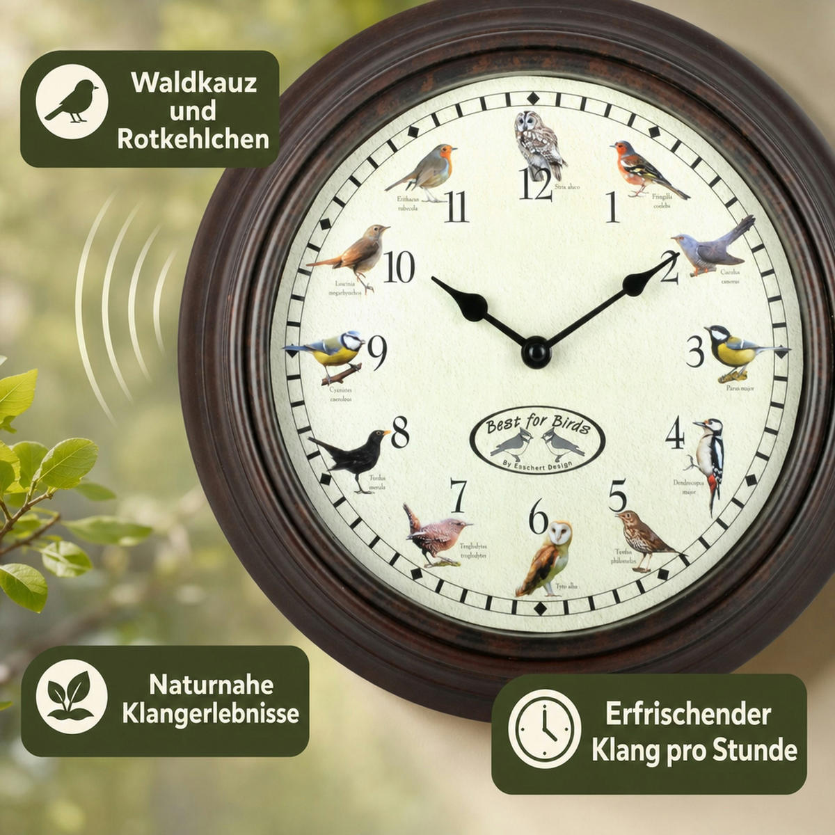 UHR mit Vogelgezwitscher - Dunkelbraun, Holz (29.8/29.8/4.5cm) - Westfalia