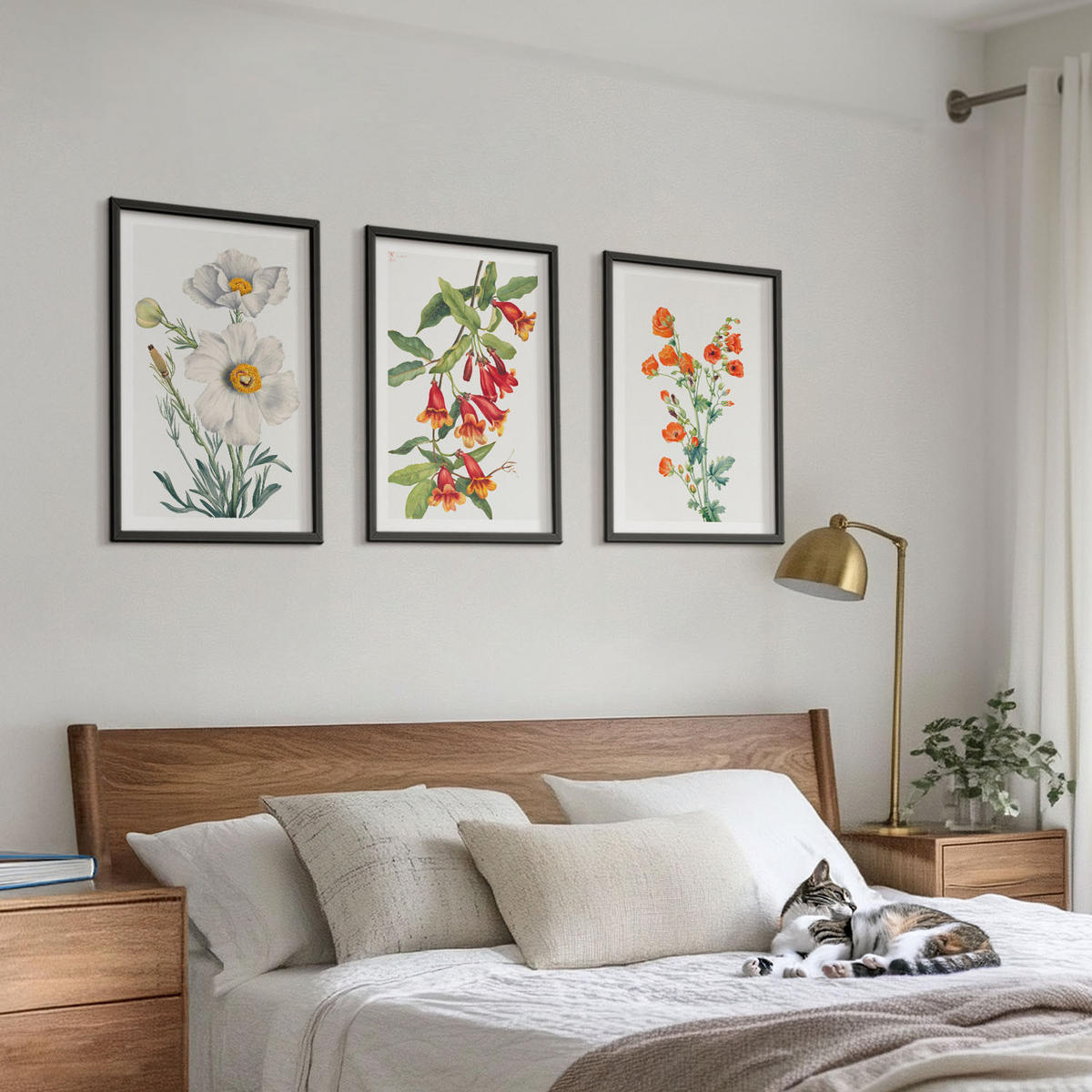 BILDER SET 3er Set - 40x60 cm Schwarzer Rahmen - Retro-Blumenarrangements - Schwarz, Kunststoff (40/60cm) - TULUP