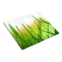 GLASPLATTE 60x52 cm Gras - Grün, Glas (60/0.4/52cm) - TULUP
