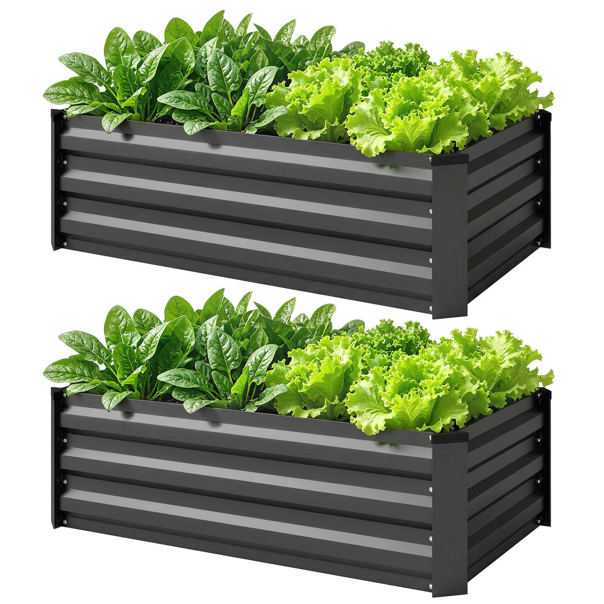HOCHBEET DE-05271 2er-Set, offener Boden, Stahl Dunkelgrau - Dunkelgrau, Metall (100/30/60cm) - ComfortXL