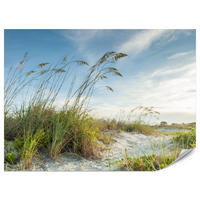 FOTOTAPETE für Schlafzimmer Dünen Pflanzen Strand Gras 400x280 - Blau/Beige, Papier (400/280cm) - Muralo