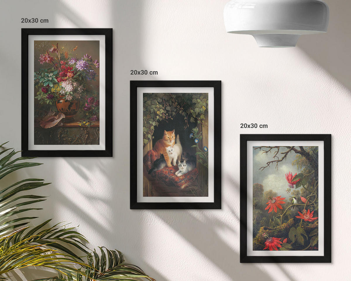 WANDBILDER 3er-Set - 20x30 cm Schwarzer Rahmen - Vintage-Blumen, Katzen, Natur - Schwarz, Kunststoff (20/30cm) - ArtPrintCave