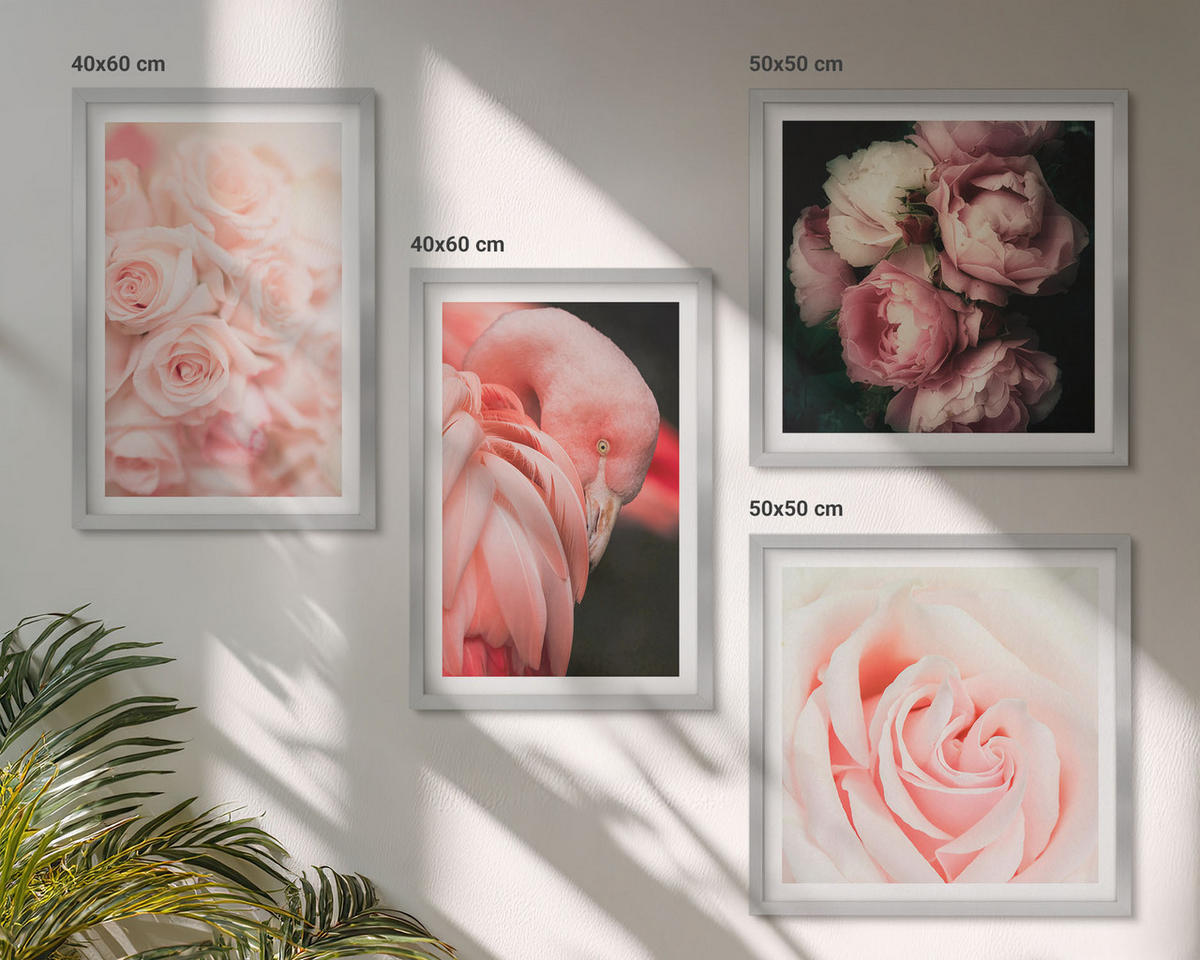 WANDBILDER 4er Set - 50x50 cm & 40x60 cm Silberner Rahmen - Pastellrosa Flamingos - Silberfarben, Kunststoff (50/50cm) - ArtPrintCave