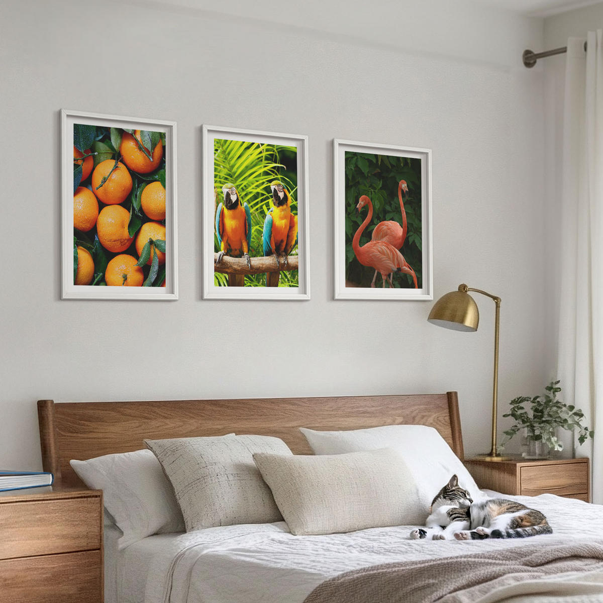 WANDBILDER 3er-Set - 40x60 cm Weißer Rahmen - Fruchtige Akzente in den Tropen - Weiß, Kunststoff (40/60cm) - ArtPrintCave