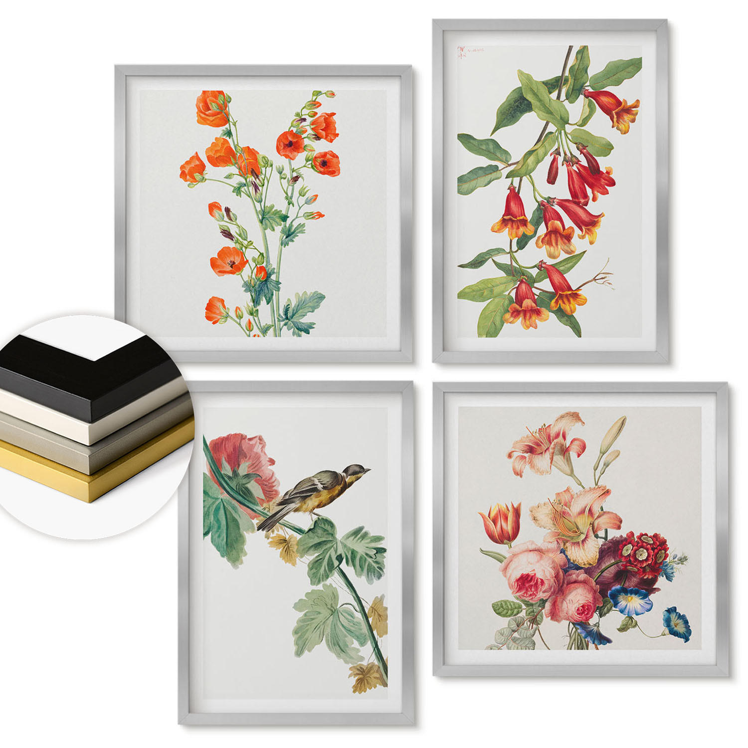 WANDBILDER 4er Set - 50x50 cm & 40x60 cm Silberner Rahmen - Gemalte Blumen, Retro-Vogel - Silberfarben, Kunststoff (50/50cm) - ArtPrintCave