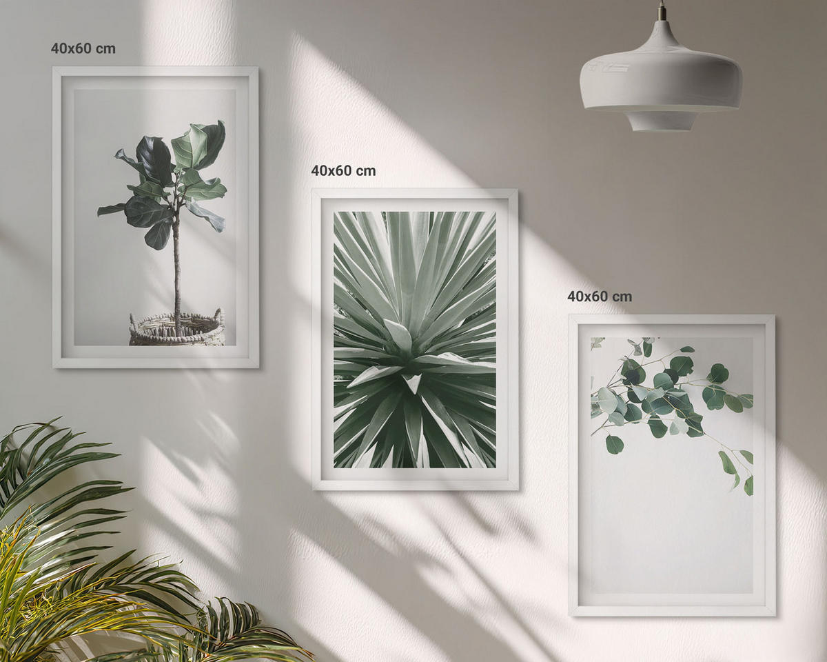 BILDER SET 3er Set - 40x60 cm Weißer Rahmen - Minimalismus mit grünen Pflanzen - Weiß, Kunststoff (40/60cm) - TULUP