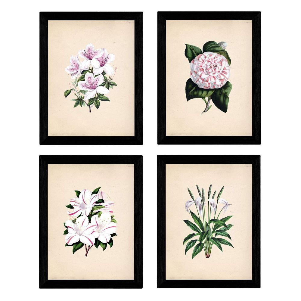 POSTER Set mit 4 Botanische Papier Hintergrund Lila Blumen A3 Rahmenlos - Klar, Papier (29.7/3cm) - Nacnic