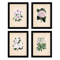 POSTER Set mit 4 Botanische Papier Hintergrund Lila Blumen A3 Rahmenlos - Klar, Papier (29.7/3cm) - Nacnic