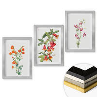 WANDBILDER 3er Set - 20x30 cm Silberner Rahmen - Vintage-Retro-Blumenmalerei - Silberfarben, Kunststoff (20/30cm) - ArtPrintCave