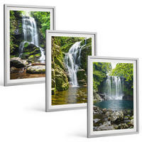 BILDER SET 3er Set - 40x60 cm Silberner Rahmen - Wasserfälle, grüne Umgebung - Silberfarben, Kunststoff (40/60cm) - TULUP