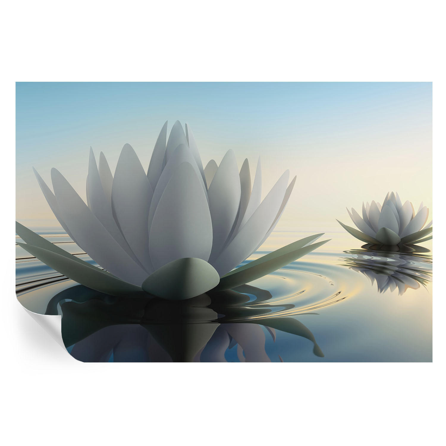 FOTOTAPETE 104x70 cm - Seerosen - Weiß, Textil (104/70cm) - Wallfluent