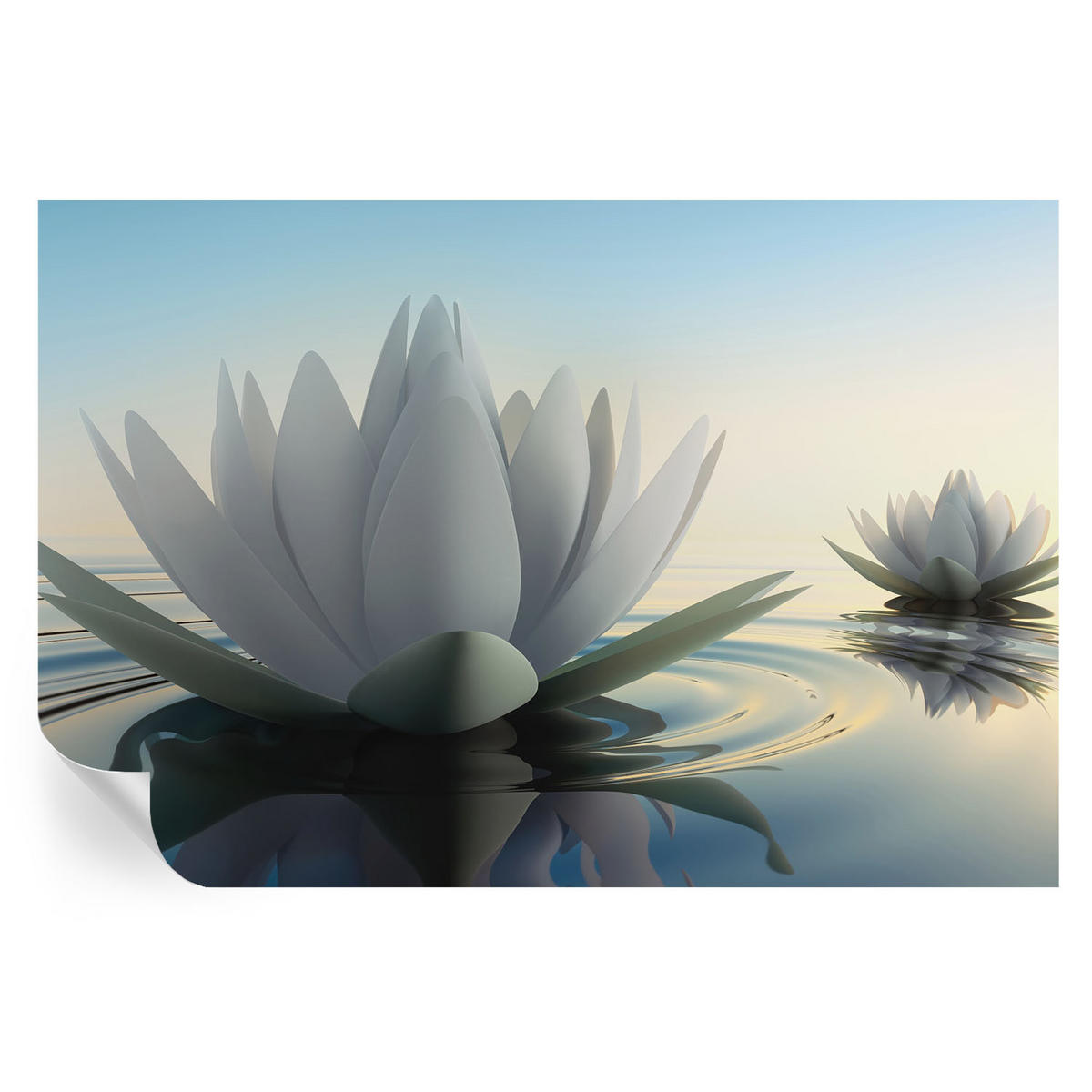 FOTOTAPETE 104x70 cm - Seerosen - Weiß, Textil (104/70cm) - Wallfluent