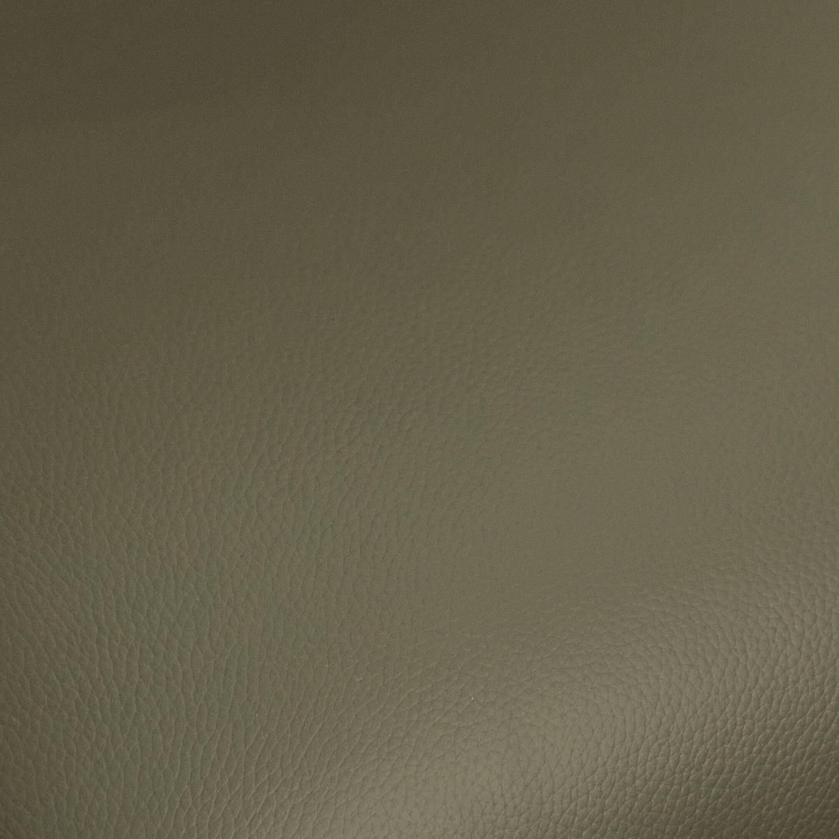 STUHL-SET 2 Stück in Echtleder Olivgrün - Schwarz/Grün, Leder/Metall (58/83/58cm) - Furnhouse