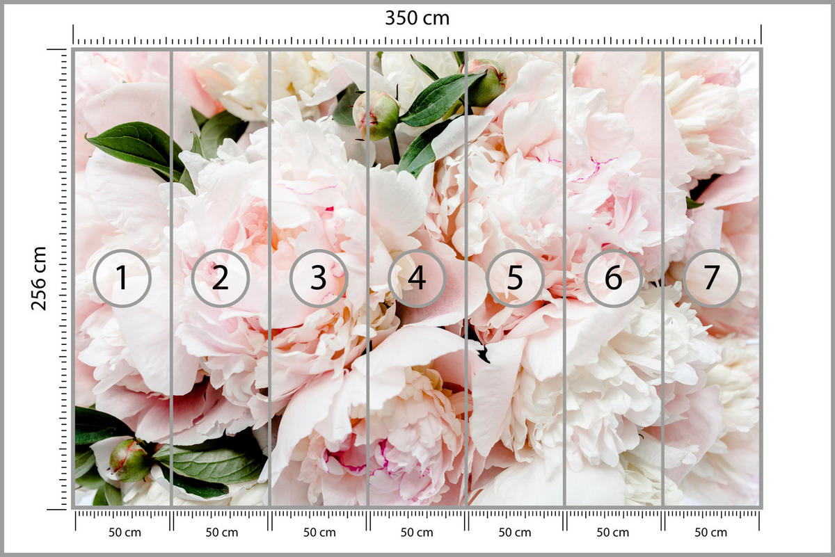 FOTOTAPETE für Schlafzimmer Rosa Zarte Pfingstrosen Natur 350x256 - Rosa/Weiß, Papier (350/256cm) - Muralo