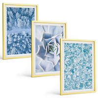 BILDER SET 3er Set - 40x60 cm Goldrahmen - Winterwald blaue Blume Wasser - Goldfarben, Kunststoff (40/60cm) - TULUP