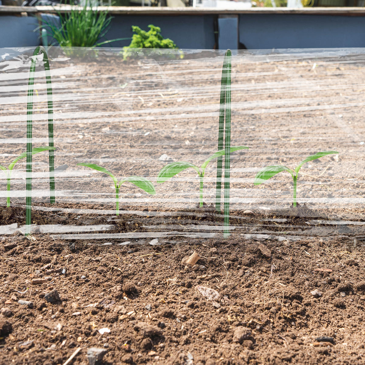 6XTUNNELBÖGEN - Dunkelgrün, Kunststoff/Metall (33/31/1cm) - Relaxdays